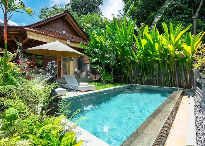 Warm Wooden Tropical With Pool *